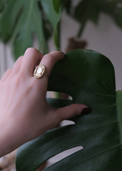 努比亞 • 太陽聖殿