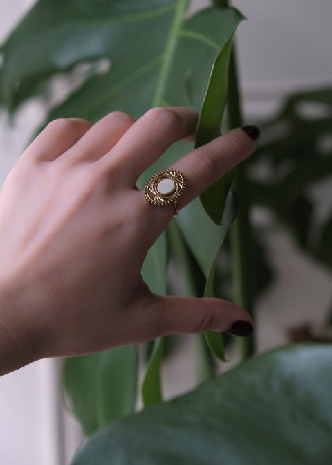 努比亞 • 太陽聖殿