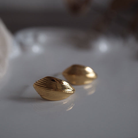 鈦鋼俐落貝殼耳環