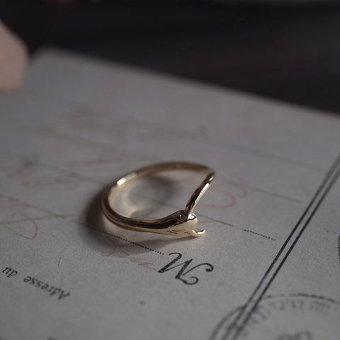 蛇惑 • 無盡延續