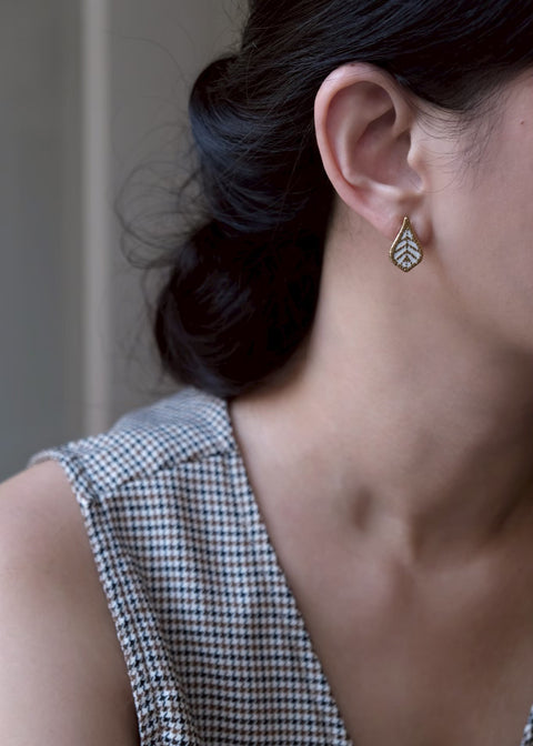 格拉斯白蕾絲葉