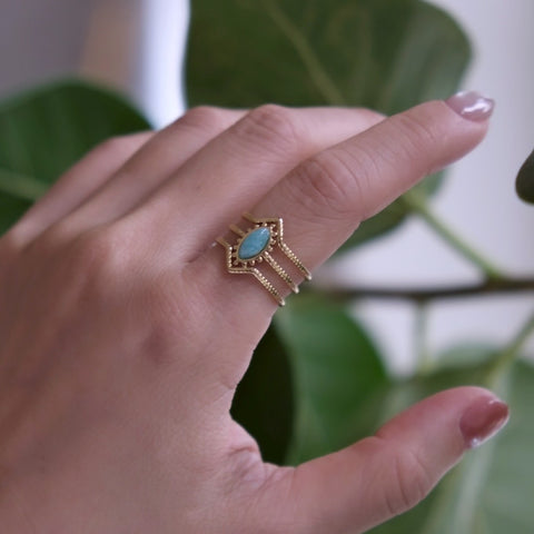 莫內 • 綠色潟湖