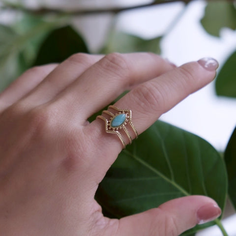 莫內 • 綠色潟湖