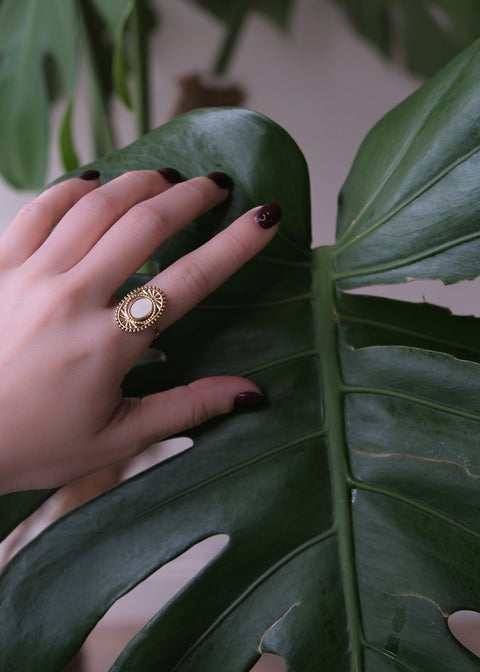 努比亞 • 太陽聖殿