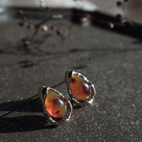 蕾莉絲蜂蜜琥珀