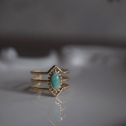 莫內 • 綠色潟湖