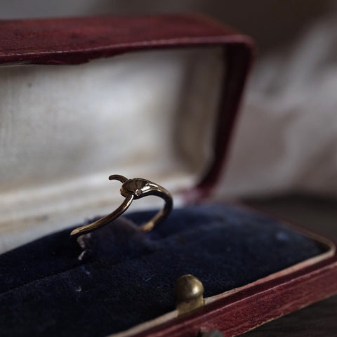 蛇惑 • 無盡延續