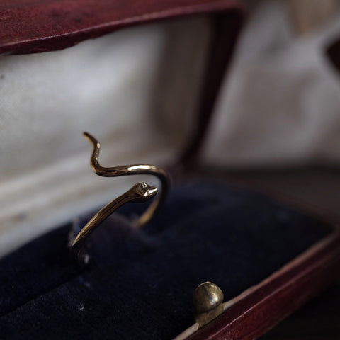 初始 • 蜿蜒蛇戒