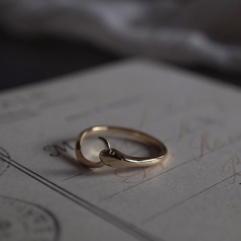 蛇惑 • 無盡延續