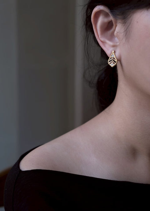 奧斯丁山谷的落葉