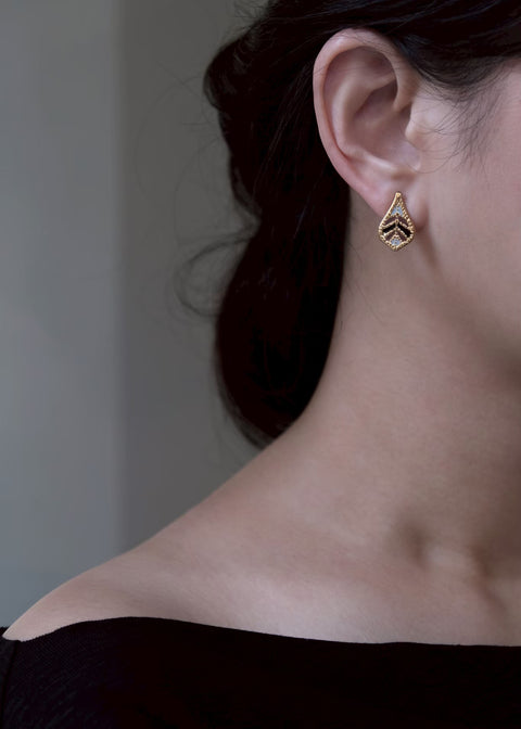 奧斯丁山谷的落葉