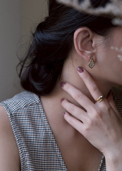 格拉斯白蕾絲葉