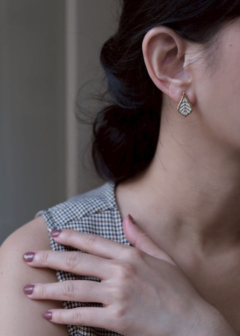 格拉斯白蕾絲葉