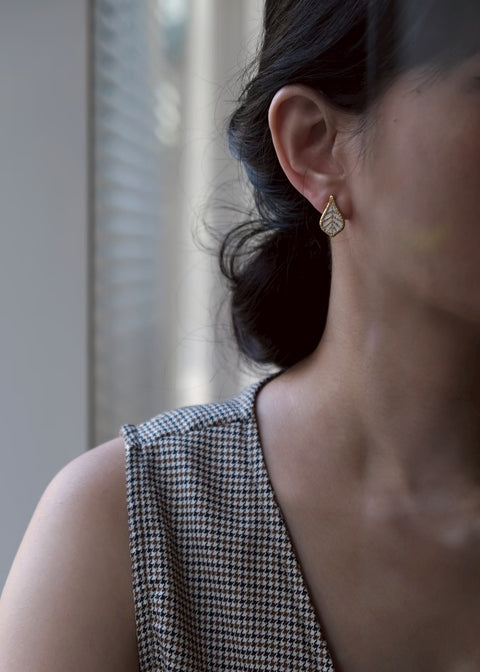 格拉斯白蕾絲葉