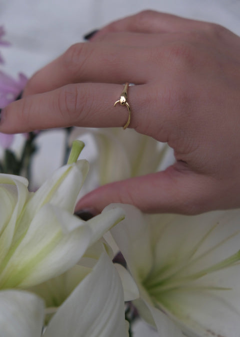 蛇惑 • 無盡延續