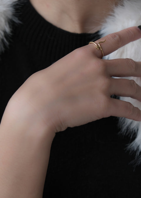 初始 • 蜿蜒蛇戒