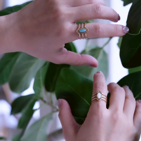 莫內 • 綠色潟湖