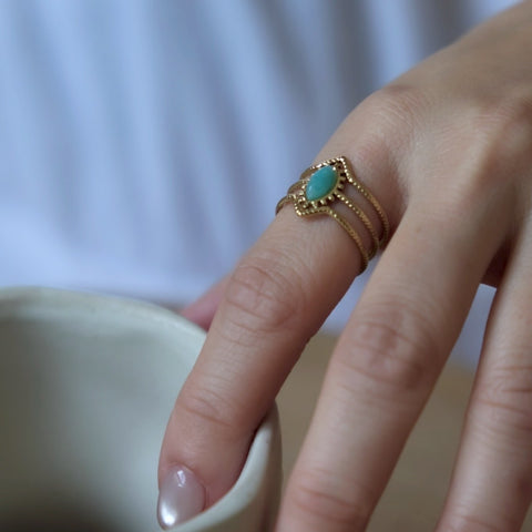 莫內 • 綠色潟湖