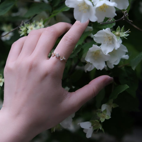 晨露小花園